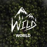 WILD WORLD