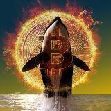 Baleine crypto