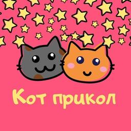 Кот Прикол (переходник)