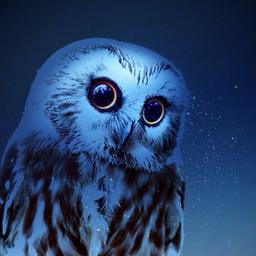 Todo sobre la naturaleza ☘️ - Fondo de pantalla para teléfono📱, naturaleza