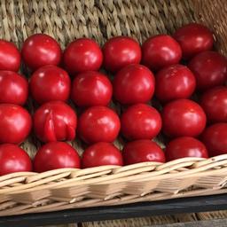"Market Fruit" MvL. 🍅
