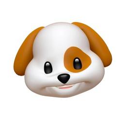 ♔ CUCCIOLI CAVALIER KING CHARLES SPANIEL! 🍃🌸