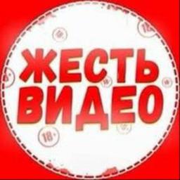 UKRAINISCHE NACHRICHTEN KRIEG GEGEN FÄLSCHUNGEN
