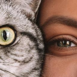 Deus salve a fotografia