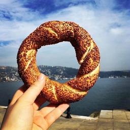 Notas de Istambul