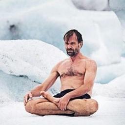 WIM HOF Wim Hof Methode YOGA Meditation Selbstentwicklung