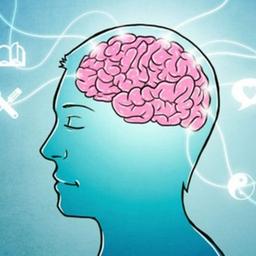 Lie to Me l Persönlichkeitspsychologie l Selbstentwicklung