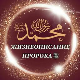 Biografia do Mensageiro de Allah (ﷺ)