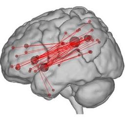Explorando la creatividad