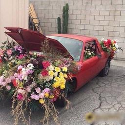 wᴀᴛsᴀᴄᴏ