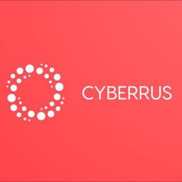 Russian-speaking cyber community