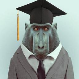 Macaco quer ir para a faculdade