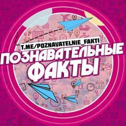 Познавательные Факты