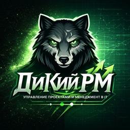 DiKiy PM | IT-Management ohne Illusionen. Dmitri Kuramschin