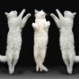 Ballet San Petersburgo: excursiones y paseos con Olga Fedorchenko