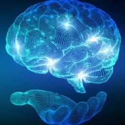 Links para treinadores de redes neurais