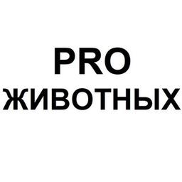 Animais PRO | Animais
