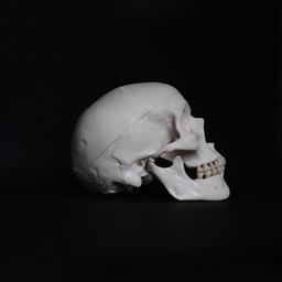 La medicina che meritiamo