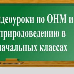 Videolektionen zu Naturwissenschaften und Bildung in der Grundschule