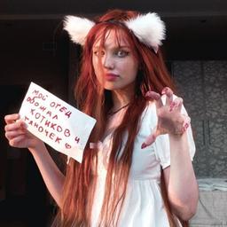 Mio padre adorava i gatti e le crostate ❤