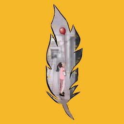 Appunti di un traumatologo della contea