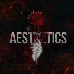 A esthetic S