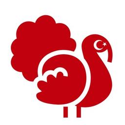 Educação e vida na Turquia
