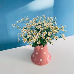 PHOTO BACKGROUND FOR STORIES