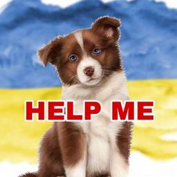 🆘🐾ANIMAIS / Bila Tserkva