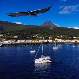 Catamarã Mana Mana
